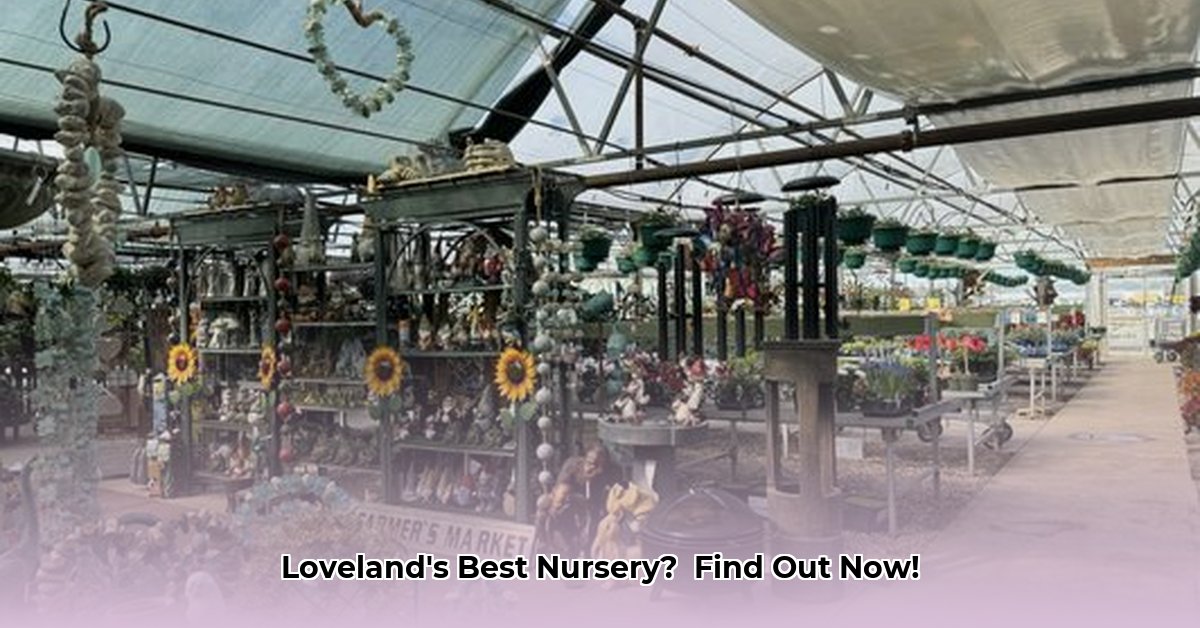 nursery-loveland-co